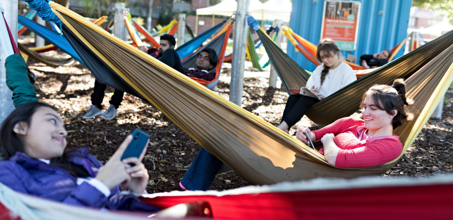 Campus group on hammocks