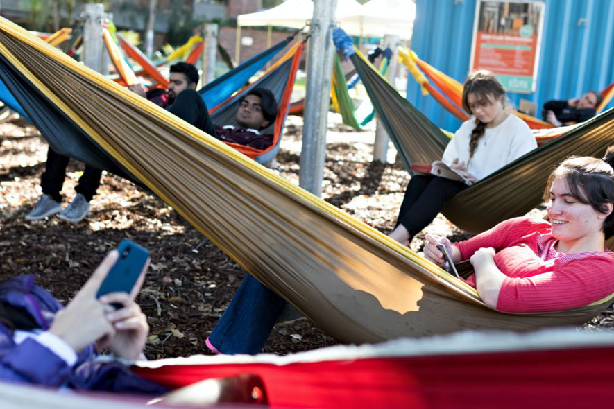 Campus group on hammocks
